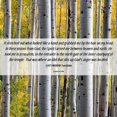 Picture 06 - Ezekiel 8:3 GW - It stretched out what looked like a hand and - Bible Verse Picture