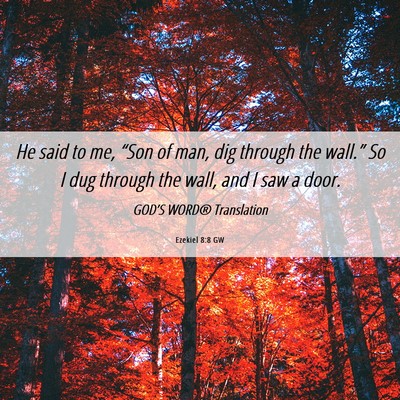 Picture 06 - Ezekiel 8:8 GW - He said to me, “Son of man, dig through the - Bible Verse Picture