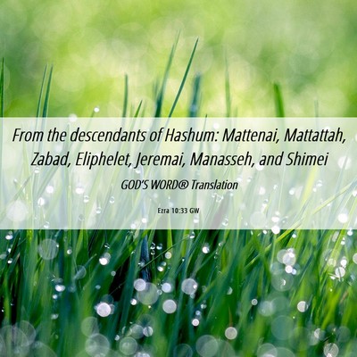 Picture 06 - Ezra 10:33 GW - From the descendants of Hashum: Mattenai, - Bible Verse Picture