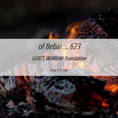 Picture 06 - Ezra 2:11 GW - of Bebai … - Bible Verse Picture