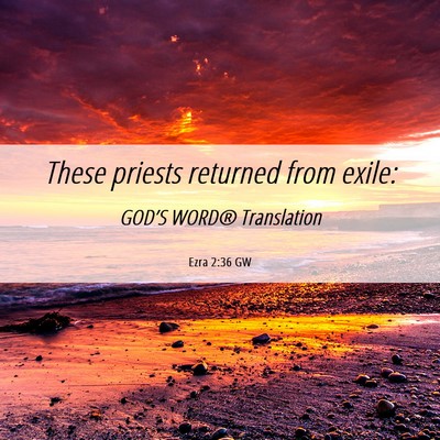 Picture 06 - Ezra 2:36 GW - These priests returned from - Bible Verse Picture