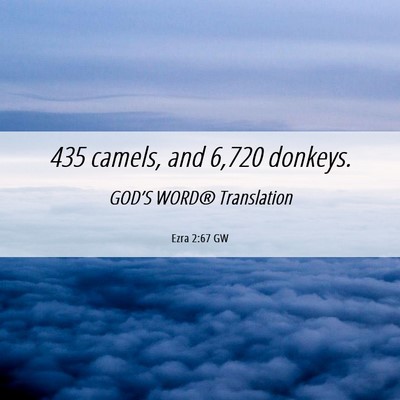 Picture 06 - Ezra 2:67 GW - 435 camels, and 6,720 - Bible Verse Picture