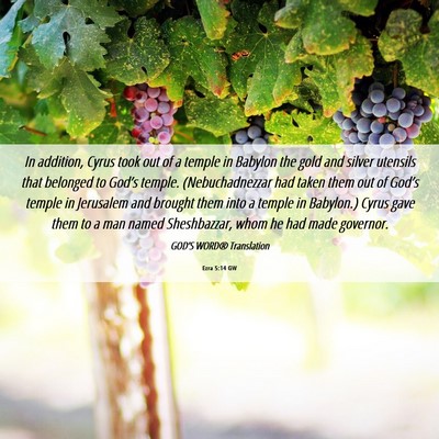 Picture 06 - Ezra 5:14 GW - In addition, Cyrus took out of a temple in - Bible Verse Picture