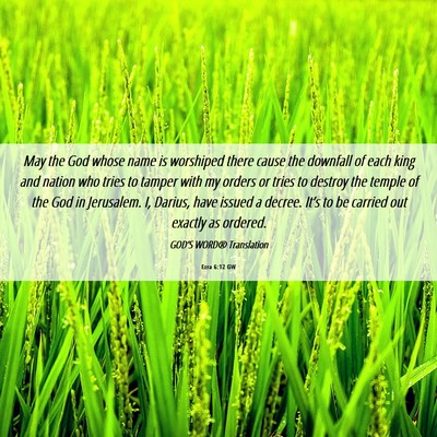 Picture 06 - Ezra 6:12 GW - May the God whose name is worshiped there cause - Bible Verse Picture