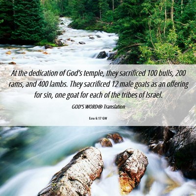 Picture 06 - Ezra 6:17 GW - At the dedication of God’s temple, they - Bible Verse Picture