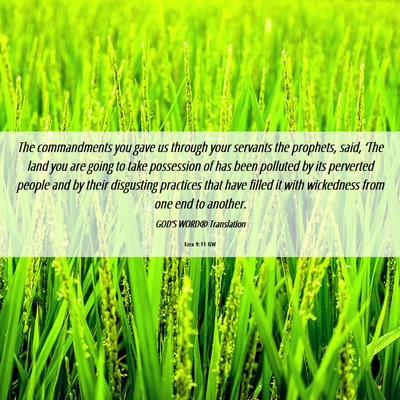 Picture 06 - Ezra 9:11 GW - The commandments you gave us through your - Bible Verse Picture
