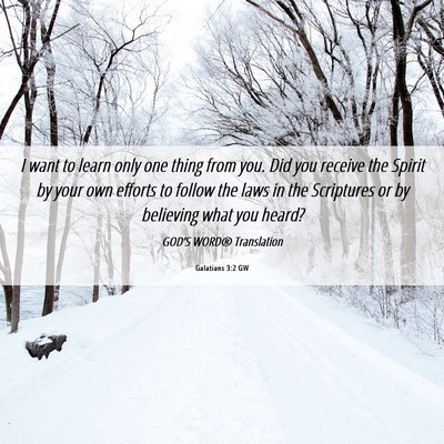 Picture 06 - Galatians 3:2 GW - I want to learn only one thing from you. Did you - Bible Verse Picture