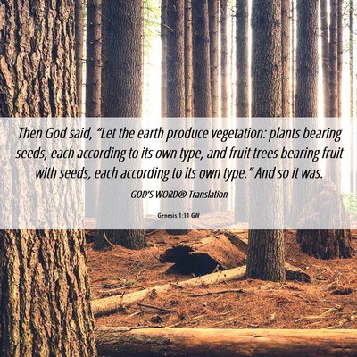 Picture 06 - Genesis 1:11 GW - Then God said, “Let the earth produce - Bible Verse Picture