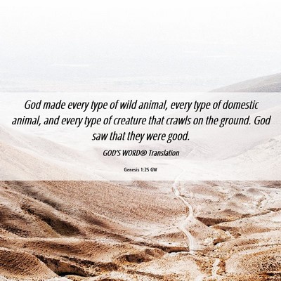 Picture 06 - Genesis 1:25 GW - God made every type of wild animal, every type of - Bible Verse Picture
