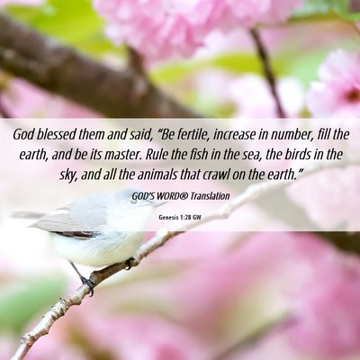 Picture 06 - Genesis 1:28 GW - God blessed them and said, “Be fertile, - Bible Verse Picture