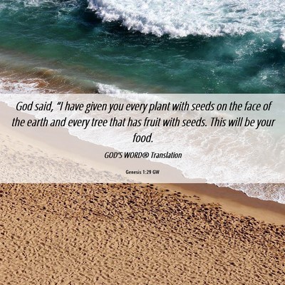 Picture 06 - Genesis 1:29 GW - God said, “I have given you every plant with - Bible Verse Picture