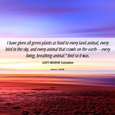 Picture 06 - Genesis 1:30 GW - I have given all green plants as food to every - Bible Verse Picture