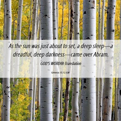 Picture 06 - Genesis 15:12 GW - As the sun was just about to set, a deep - Bible Verse Picture