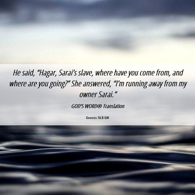 Picture 06 - Genesis 16:8 GW - He said, “Hagar, Sarai’s slave, where have - Bible Verse Picture