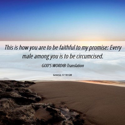 Picture 06 - Genesis 17:10 GW - This is how you are to be faithful to my promise: - Bible Verse Picture