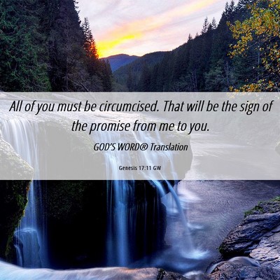 Picture 06 - Genesis 17:11 GW - All of you must be circumcised. That will be the - Bible Verse Picture