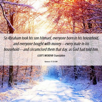 Picture 06 - Genesis 17:23 GW - So Abraham took his son Ishmael, everyone born in - Bible Verse Picture