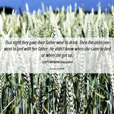 Picture 06 - Genesis 19:33 GW - That night they gave their father wine to drink. - Bible Verse Picture