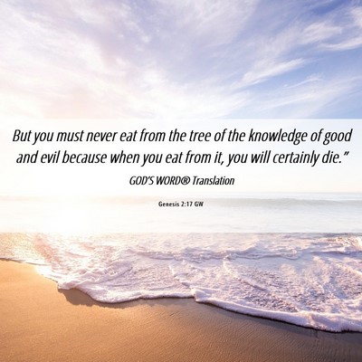 Picture 06 - Genesis 2:17 GW - But you must never eat from the tree of the - Bible Verse Picture