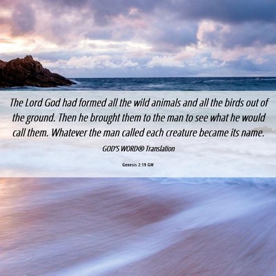 Picture 06 - Genesis 2:19 GW - The Lord God had formed all the wild animals and - Bible Verse Picture