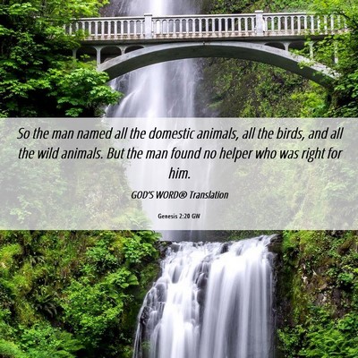 Picture 06 - Genesis 2:20 GW - So the man named all the domestic animals, all - Bible Verse Picture