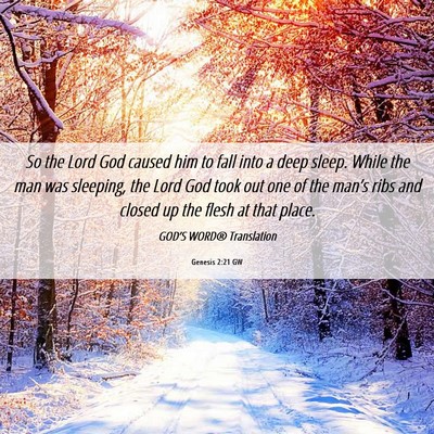 Picture 06 - Genesis 2:21 GW - So the Lord God caused him to fall into a deep - Bible Verse Picture