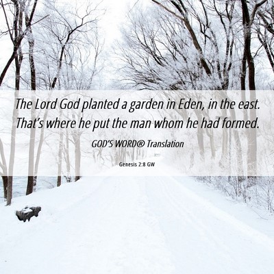 Picture 06 - Genesis 2:8 GW - The Lord God planted a garden in Eden, in the - Bible Verse Picture