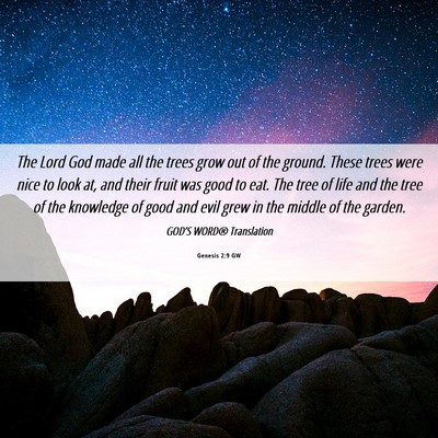 Picture 06 - Genesis 2:9 GW - The Lord God made all the trees grow out of the - Bible Verse Picture