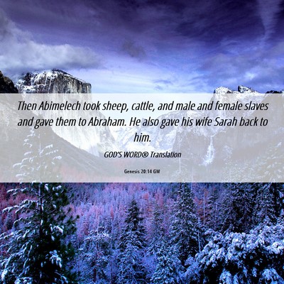 Picture 06 - Genesis 20:14 GW - Then Abimelech took sheep, cattle, and male and - Bible Verse Picture