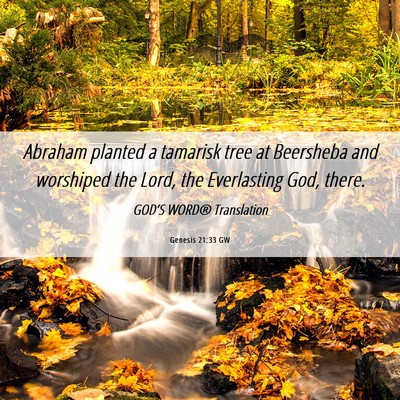 Picture 06 - Genesis 21:33 GW - Abraham planted a tamarisk tree at Beersheba and - Bible Verse Picture