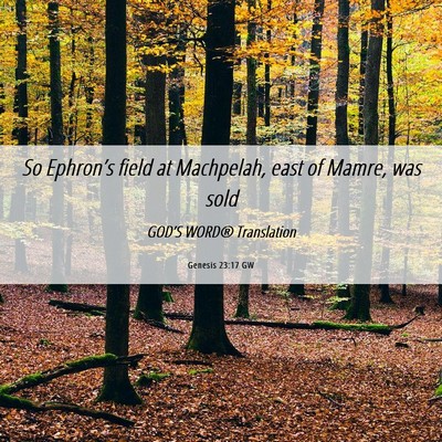 Picture 06 - Genesis 23:17 GW - So Ephron’s field at Machpelah, east of Mamre, - Bible Verse Picture