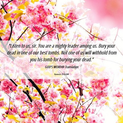 Picture 06 - Genesis 23:6 GW - “Listen to us, sir. You are a mighty leader - Bible Verse Picture