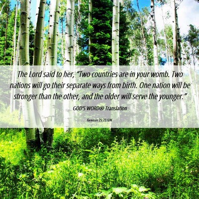 Picture 06 - Genesis 25:23 GW - The Lord said to her, “Two countries are in - Bible Verse Picture