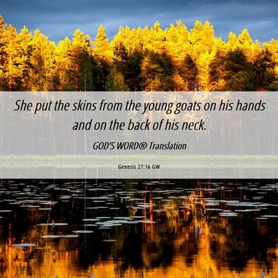 Picture 06 - Genesis 27:16 GW - She put the skins from the young goats on his - Bible Verse Picture