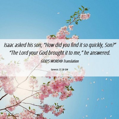 Picture 06 - Genesis 27:20 GW - Isaac asked his son, “How did you find it so - Bible Verse Picture