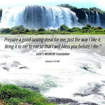 Picture 06 - Genesis 27:4 GW - Prepare a good-tasting meal for me, just the way - Bible Verse Picture