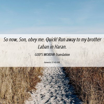 Picture 06 - Genesis 27:43 GW - So now, Son, obey me. Quick! Run away to my - Bible Verse Picture