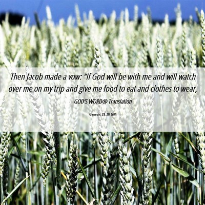 Picture 06 - Genesis 28:20 GW - Then Jacob made a vow: “If God will be with me - Bible Verse Picture