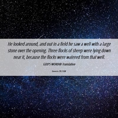 Picture 06 - Genesis 29:2 GW - He looked around, and out in a field he saw a - Bible Verse Picture