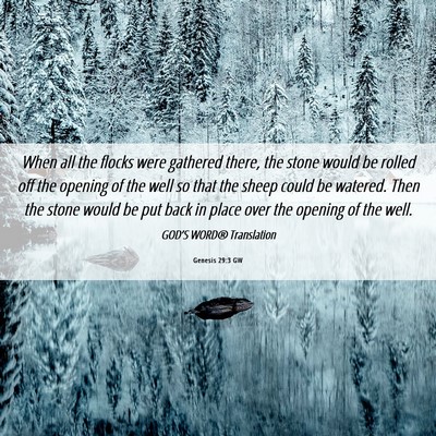 Picture 06 - Genesis 29:3 GW - When all the flocks were gathered there, the - Bible Verse Picture