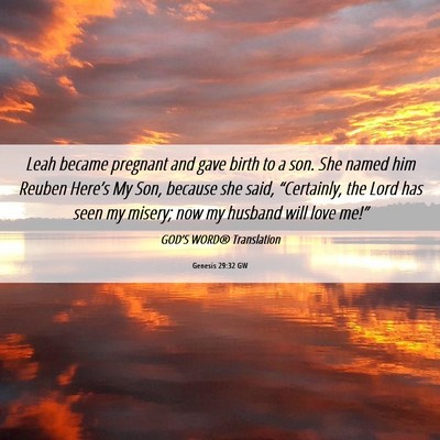 Picture 06 - Genesis 29:32 GW - Leah became pregnant and gave birth to a son. She - Bible Verse Picture