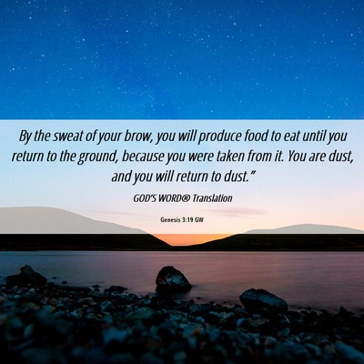 Picture 06 - Genesis 3:19 GW - By the sweat of your brow, you will produce food - Bible Verse Picture