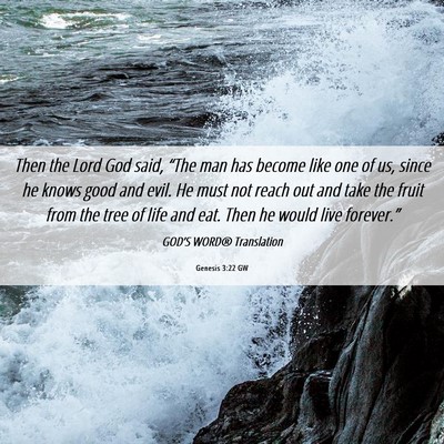 Picture 06 - Genesis 3:22 GW - Then the Lord God said, “The man has become - Bible Verse Picture
