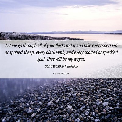 Picture 06 - Genesis 30:32 GW - Let me go through all of your flocks today and - Bible Verse Picture