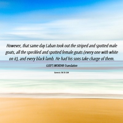 Picture 06 - Genesis 30:35 GW - However, that same day Laban took out the striped - Bible Verse Picture