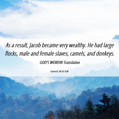 Picture 06 - Genesis 30:43 GW - As a result, Jacob became very wealthy. He had - Bible Verse Picture