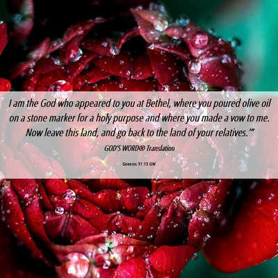 Picture 06 - Genesis 31:13 GW - I am the God who appeared to you at Bethel, where - Bible Verse Picture