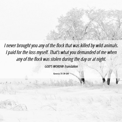 Picture 06 - Genesis 31:39 GW - I never brought you any of the flock that was - Bible Verse Picture