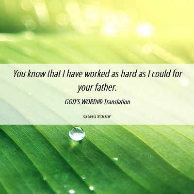 Picture 06 - Genesis 31:6 GW - You know that I have worked as hard as I could - Bible Verse Picture
