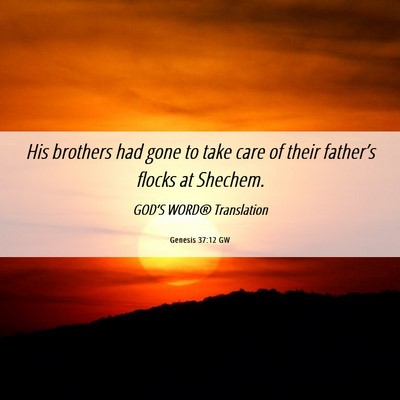 Picture 06 - Genesis 37:12 GW - His brothers had gone to take care of their - Bible Verse Picture